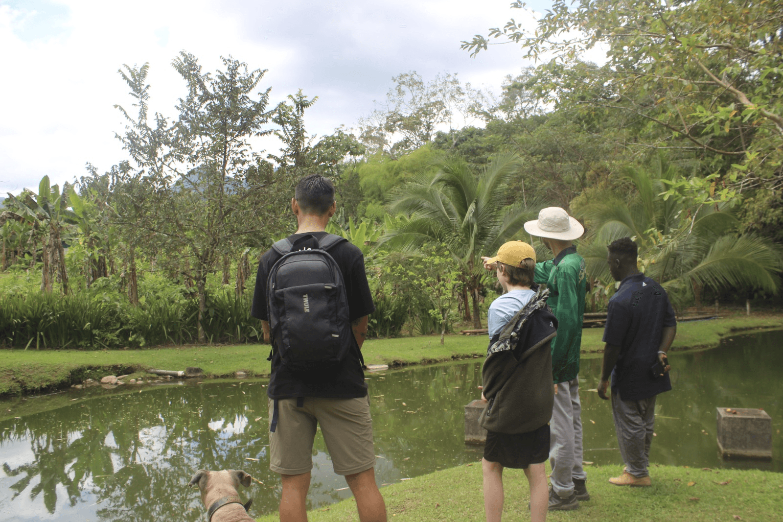 Experiencia de Voluntariado